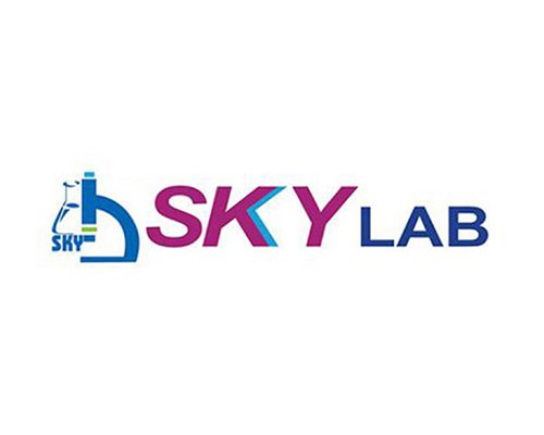 skylab