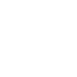 Continuous Support and Evolution