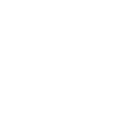 Front-End Development